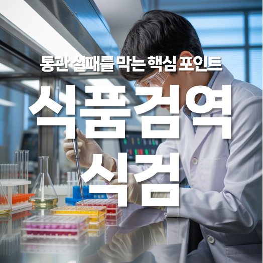 식품검역과 식검이란? 통관 실패를 막는 핵심 포인트