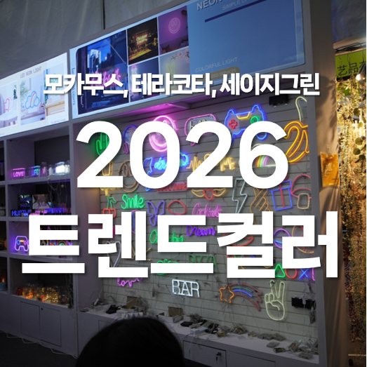 2026년 컬러 트렌드 완전정복, 모카무스, 테라코타, 세이지그린